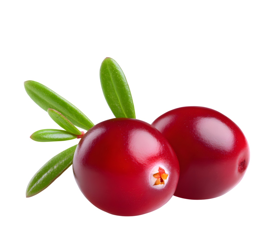 500mg PACRAN® Cranberry